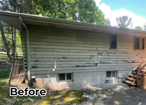 House - before