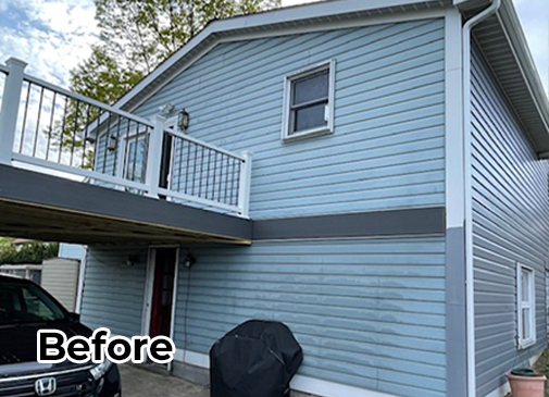 House - before